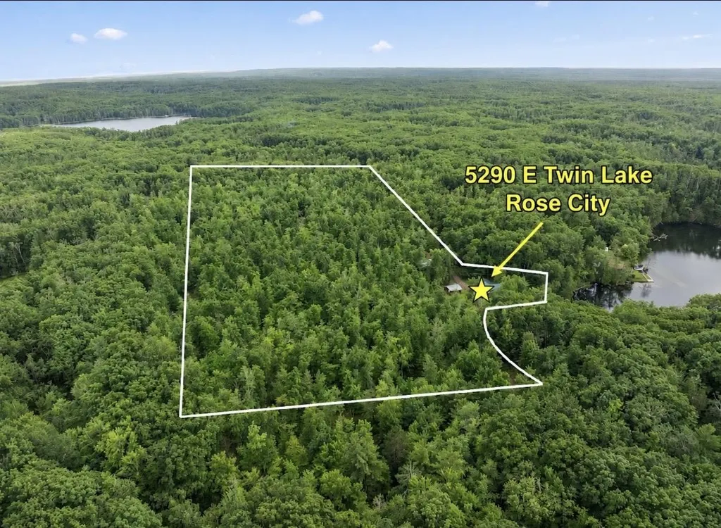 5290 E Twin Lake Road Big Creek Township MI 48654