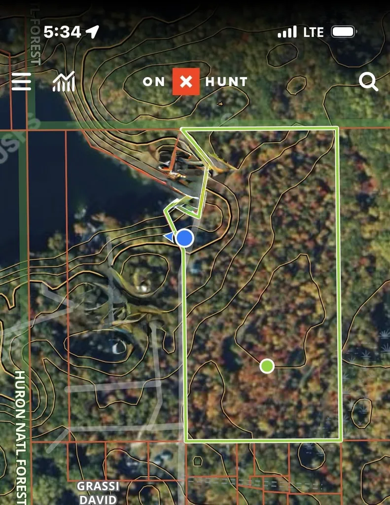 5290 E Twin Lake Road Big Creek Township MI 48654