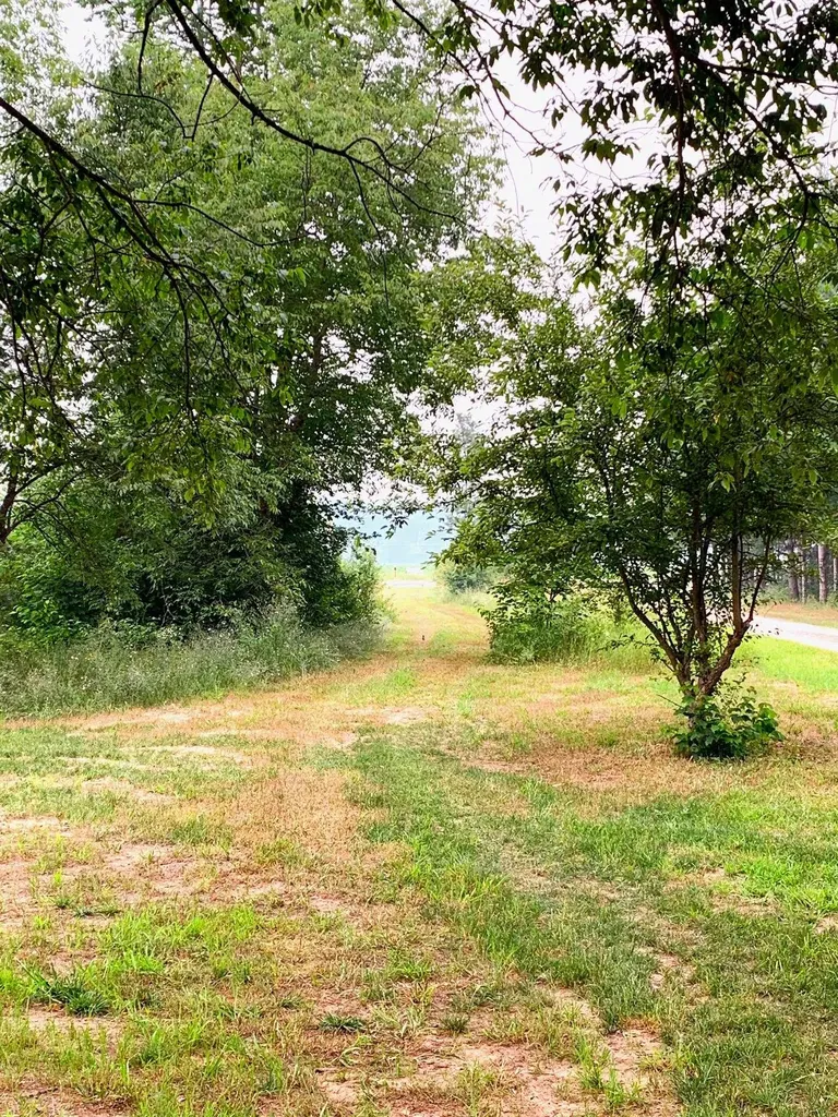 1406 SW M-66 Kalkaska Township MI 49646