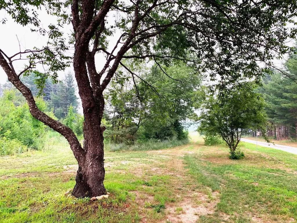 1406 SW M-66 Kalkaska Township MI 49646