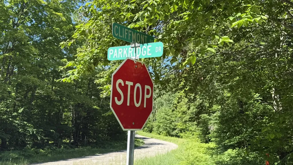 Lots 259 & 260 Cliffmont Drive Mancelona Township MI 49659