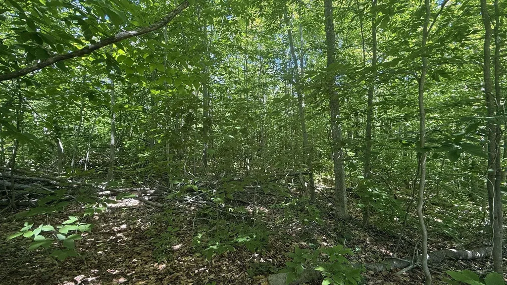Lots 259 & 260 Cliffmont Drive Mancelona Township MI 49659