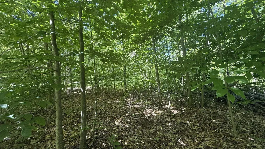 Lots 259 & 260 Cliffmont Drive Mancelona Township MI 49659