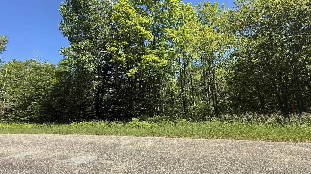 Lots 259 & 260 Cliffmont Drive Mancelona Township MI 49659