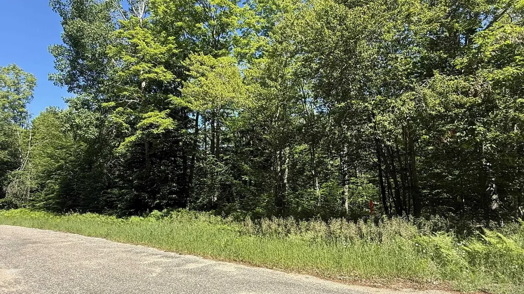 Lots 259 & 260 Cliffmont Drive Mancelona Township MI 49659