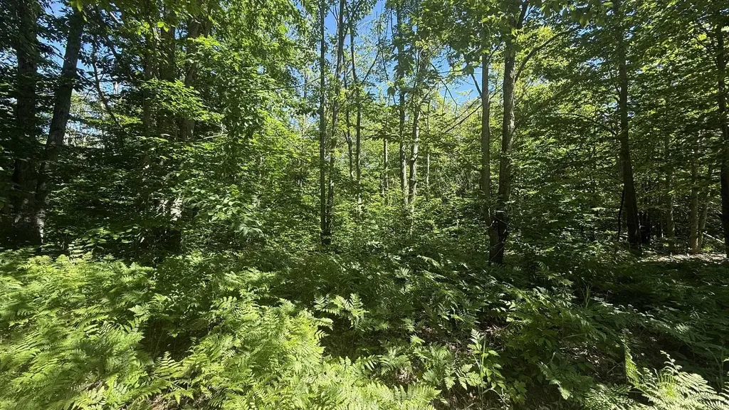 Lots 259 & 260 Cliffmont Drive Mancelona Township MI 49659