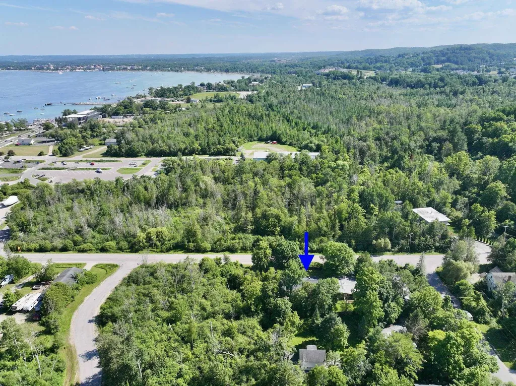 10581 E Grandview Road Elmwood Charter Township MI 49684