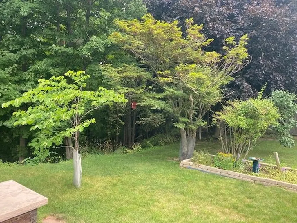 11446 Barnes Road Torch Lake Township MI 49648