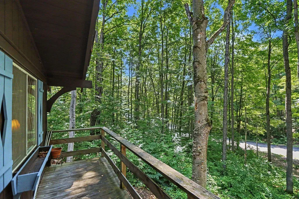 2774 Schafen Strasse Custer Township MI 49615