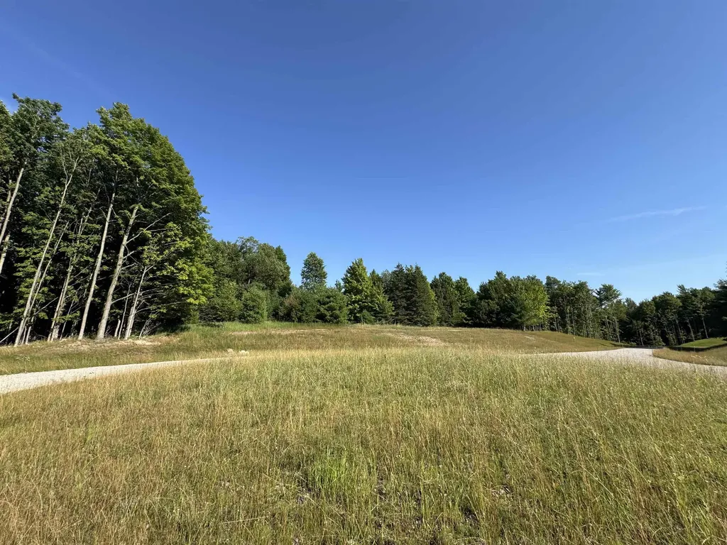 Lot #6 E Bellinger Road Kasson Township MI 49621