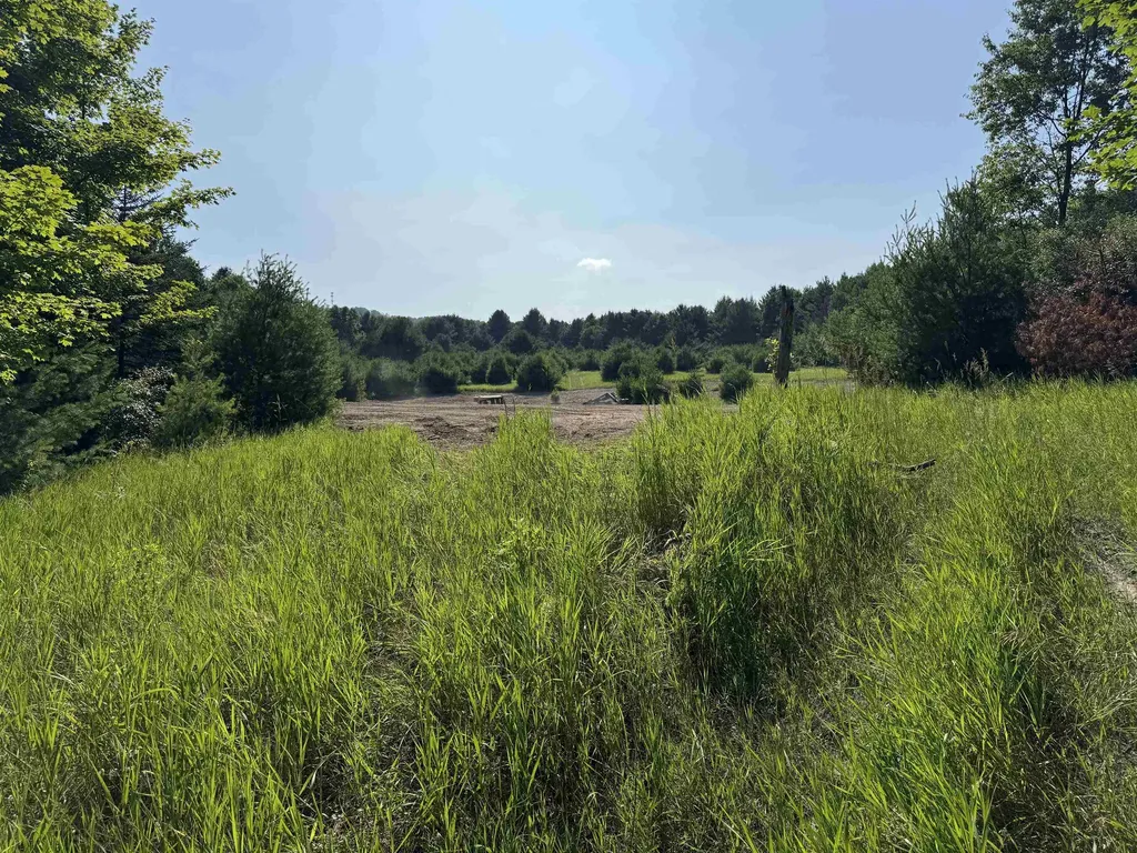 Lot #6 E Bellinger Road Kasson Township MI 49621