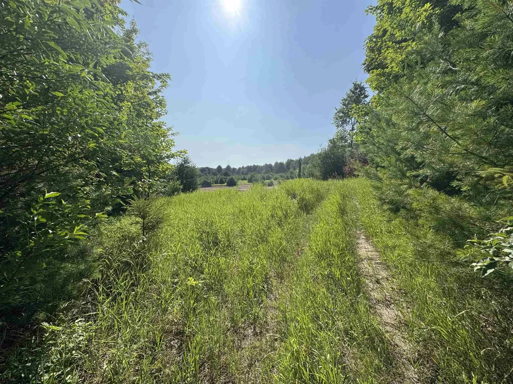 Lot #6 E Bellinger Road Kasson Township MI 49621