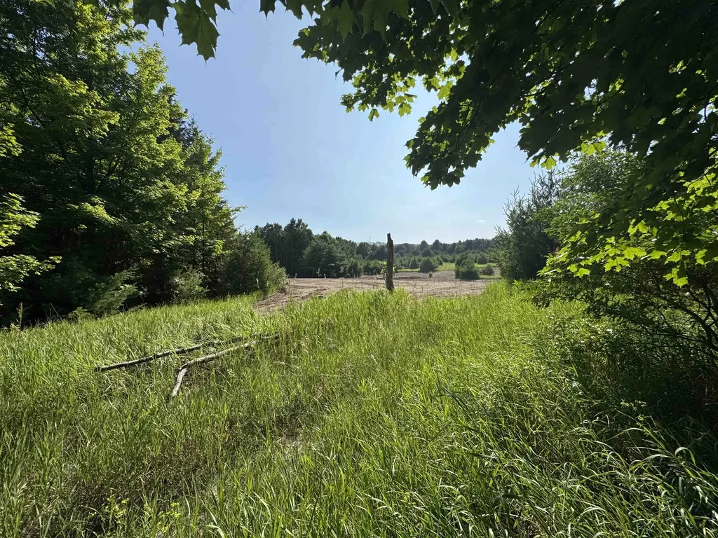 Lot #6 E Bellinger Road Kasson Township MI 49621