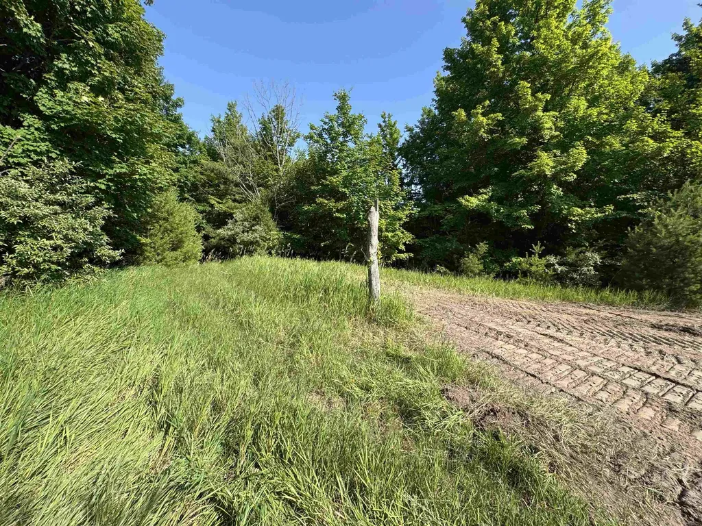 Lot #6 E Bellinger Road Kasson Township MI 49621