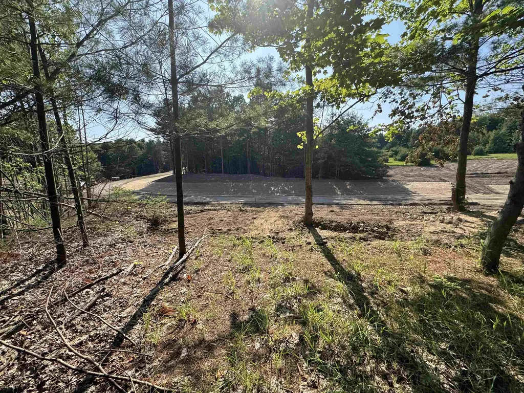 Lot #6 E Bellinger Road Kasson Township MI 49621