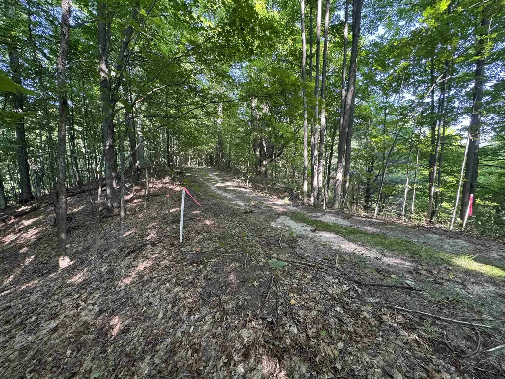 Lot #6 E Bellinger Road Kasson Township MI 49621