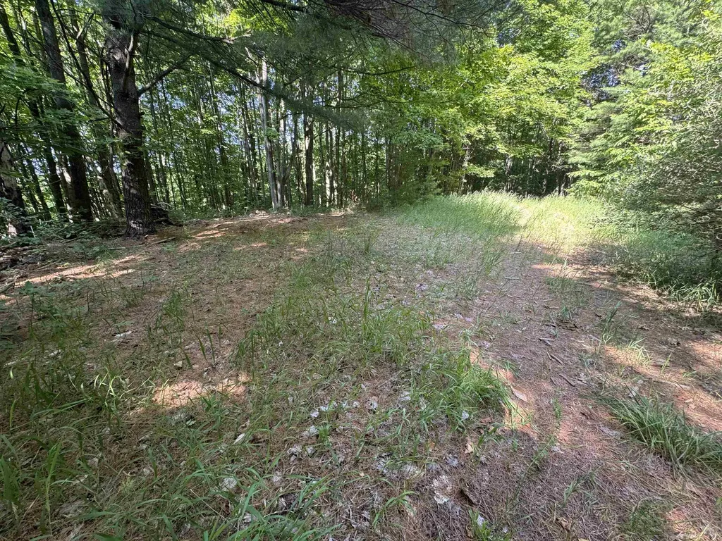 Lot #6 E Bellinger Road Kasson Township MI 49621