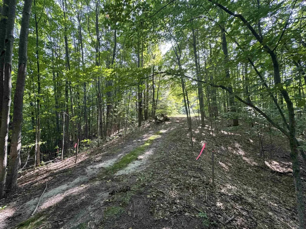 Lot #6 E Bellinger Road Kasson Township MI 49621