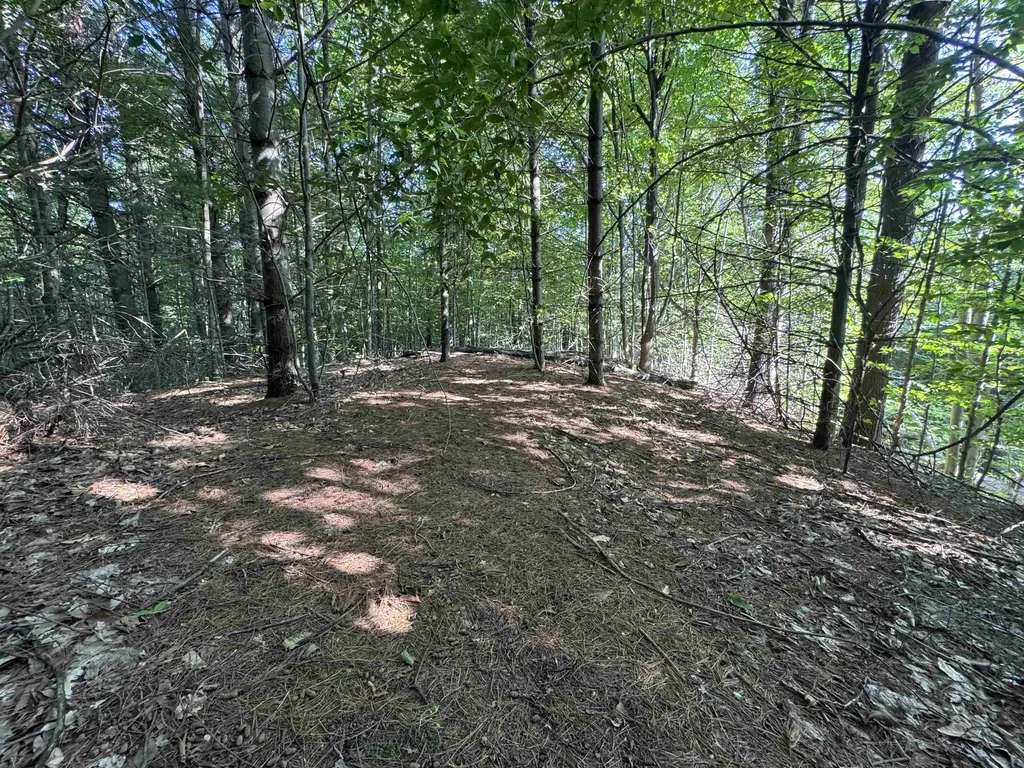 Lot #6 E Bellinger Road Kasson Township MI 49621