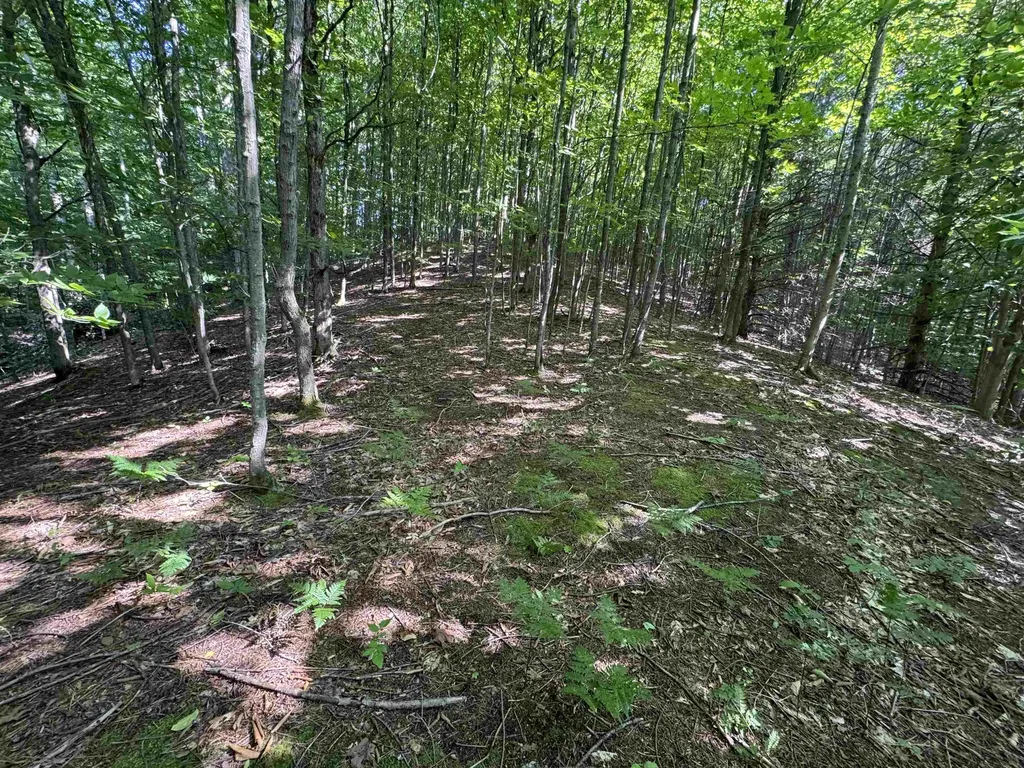 Lot #6 E Bellinger Road Kasson Township MI 49621