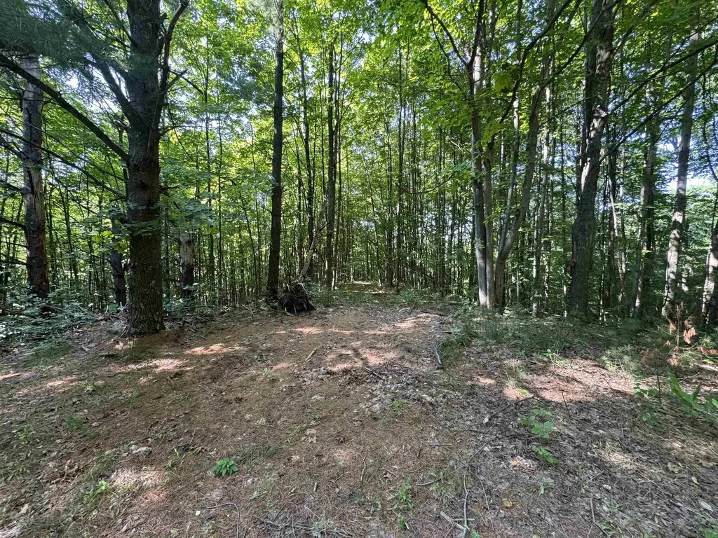 Lot #6 E Bellinger Road Kasson Township MI 49621