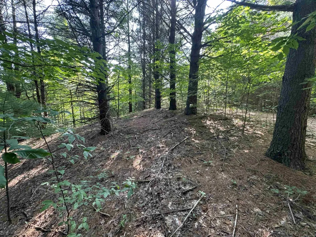 Lot #6 E Bellinger Road Kasson Township MI 49621