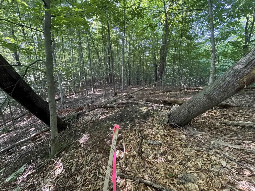 Lot #6 E Bellinger Road Kasson Township MI 49621