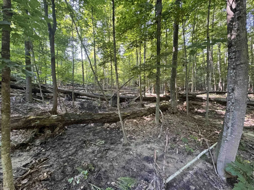 Lot #6 E Bellinger Road Kasson Township MI 49621