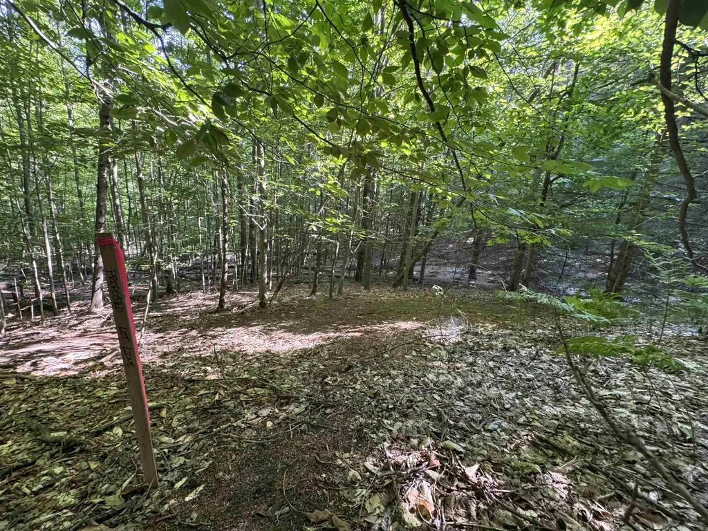 Lot #6 E Bellinger Road Kasson Township MI 49621