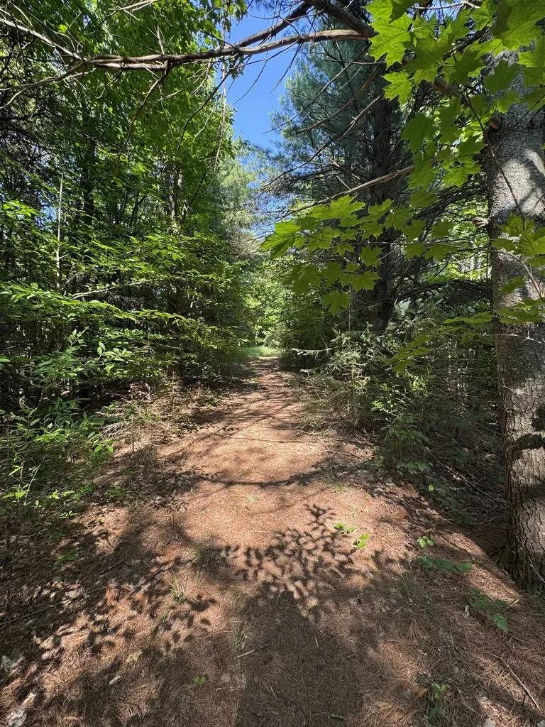 Lot #6 E Bellinger Road Kasson Township MI 49621