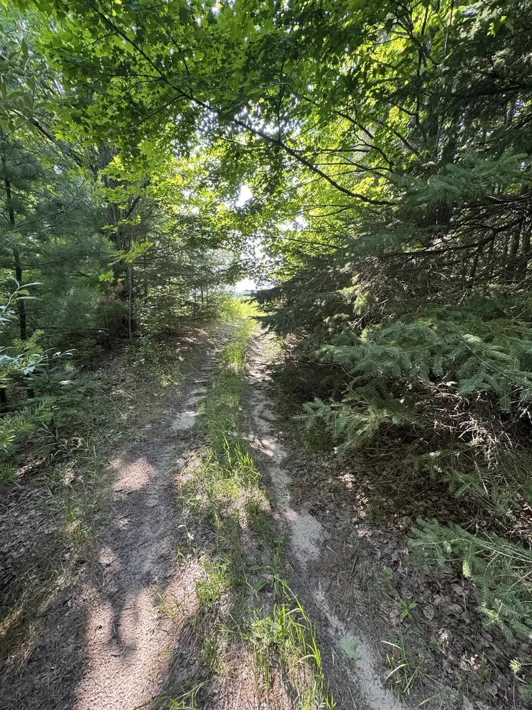 Lot #6 E Bellinger Road Kasson Township MI 49621