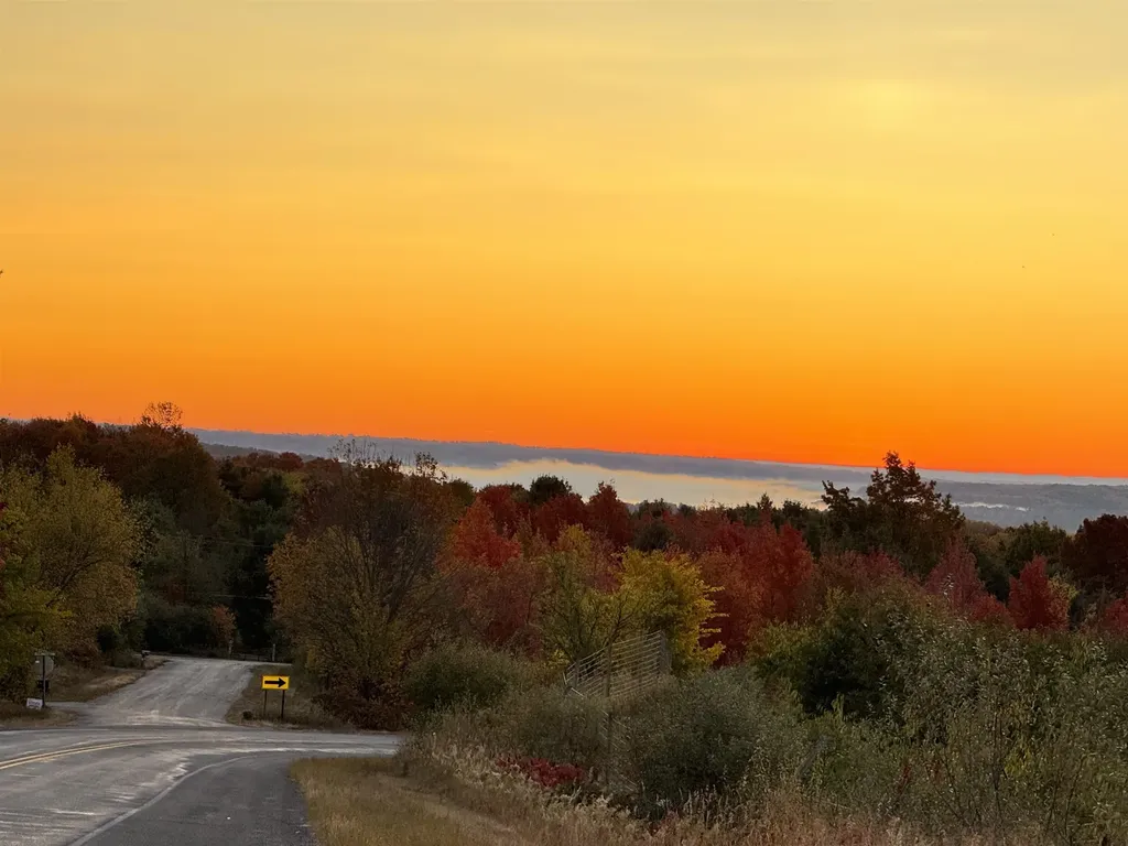 Lot #6 E Bellinger Road Kasson Township MI 49621