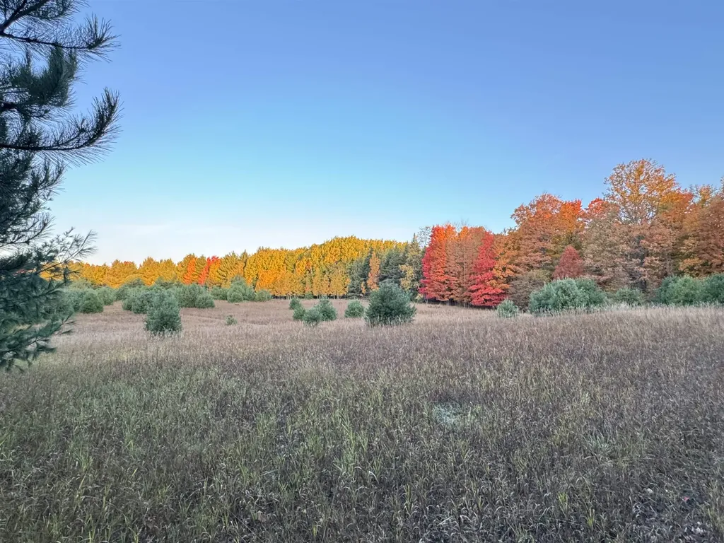 Lot #6 E Bellinger Road Kasson Township MI 49621