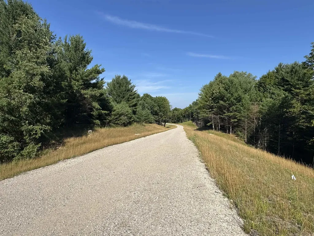 Lot #6 E Bellinger Road Kasson Township MI 49621