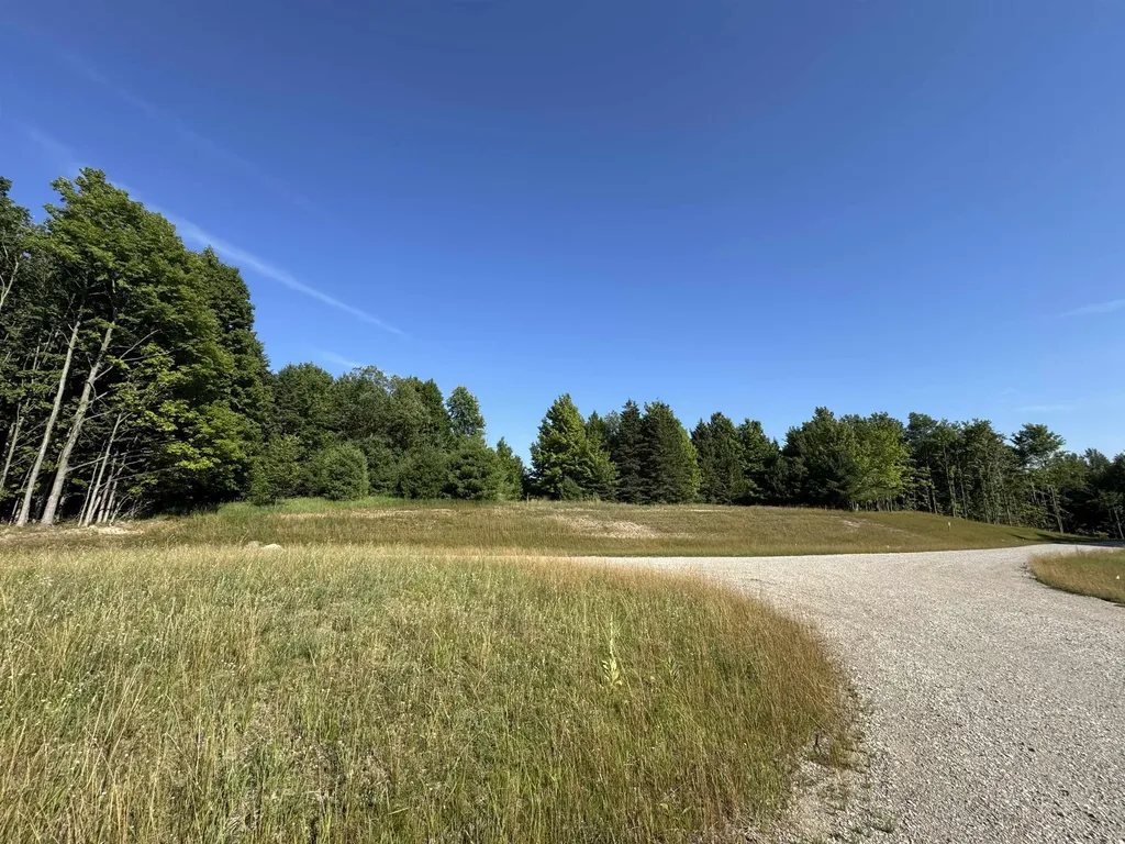 Lot #6 E Bellinger Road Kasson Township MI 49621