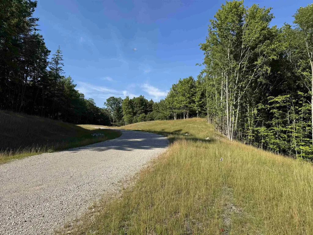 Lot #6 E Bellinger Road Kasson Township MI 49621
