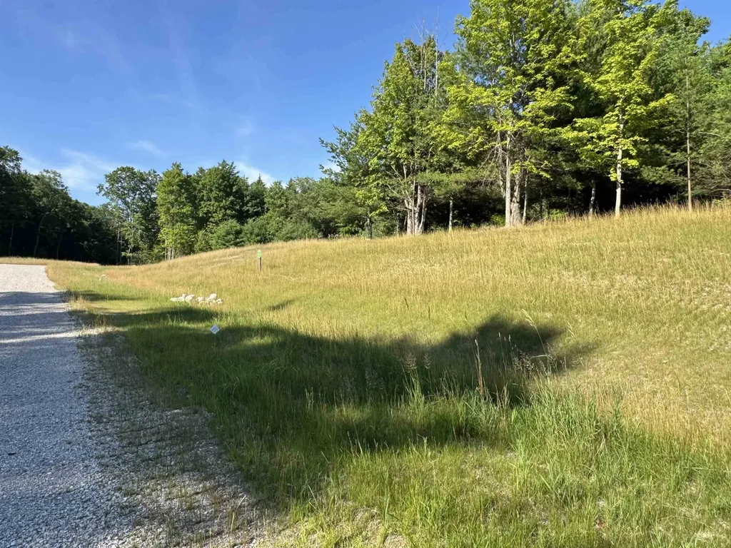 Lot #6 E Bellinger Road Kasson Township MI 49621