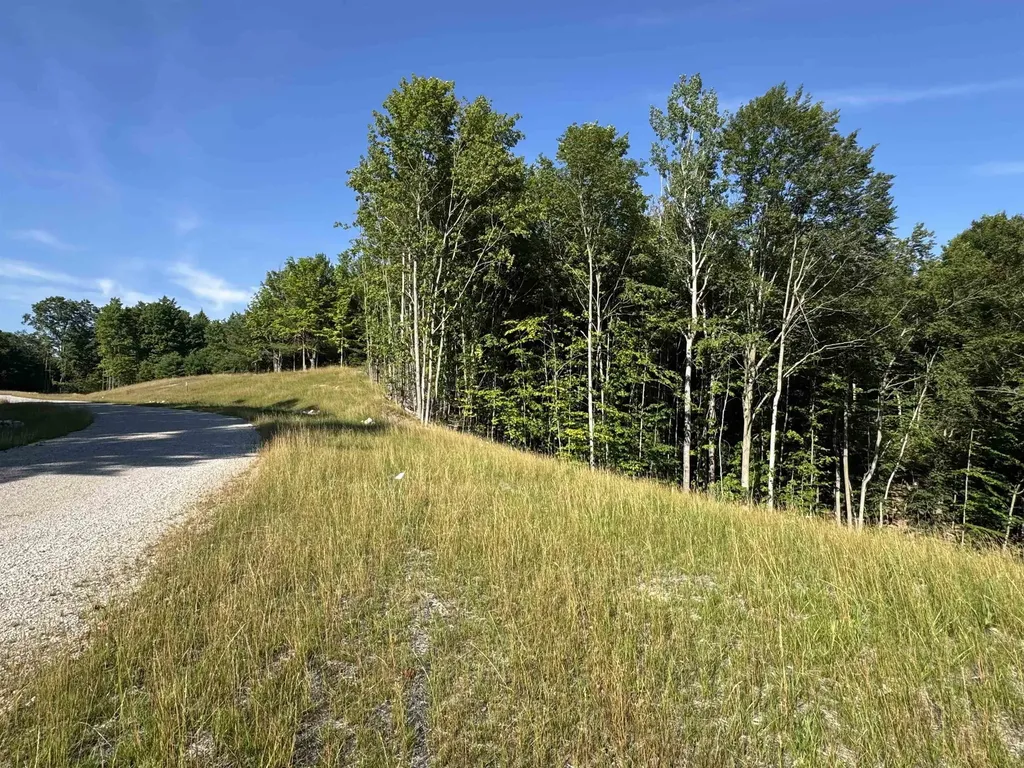 Lot #6 E Bellinger Road Kasson Township MI 49621