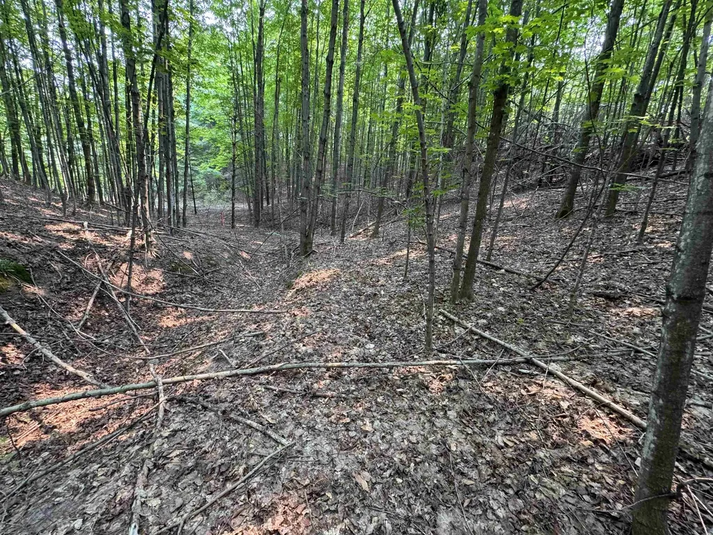 Lot #3 E Bellinger Road Kasson Township MI 49621