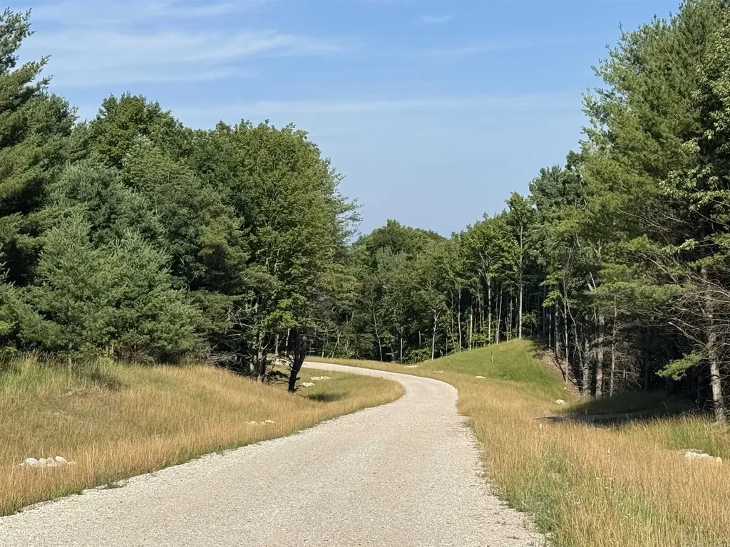Lot #3 E Bellinger Road Kasson Township MI 49621