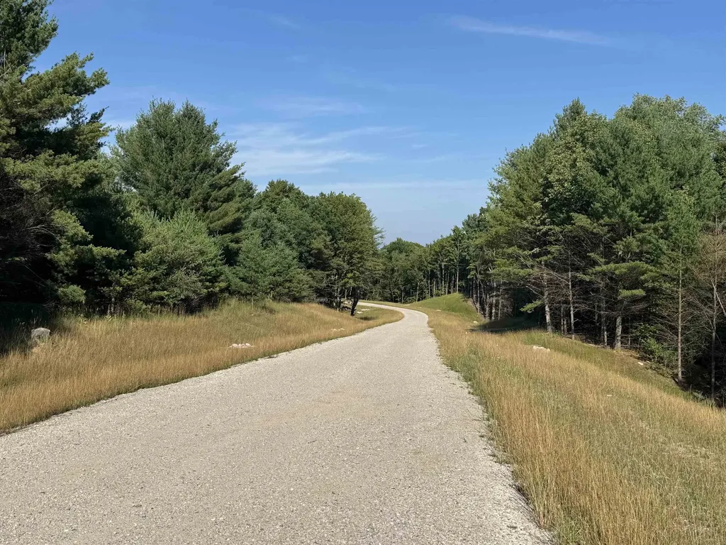 Lot #3 E Bellinger Road Kasson Township MI 49621