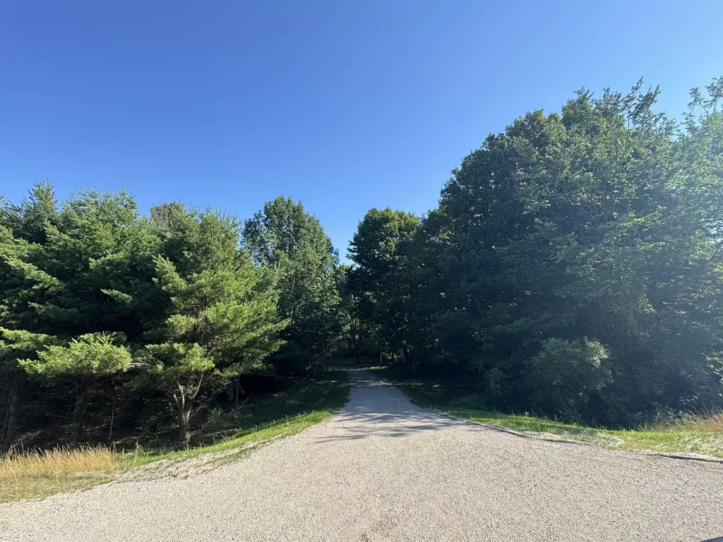 Lot #3 E Bellinger Road Kasson Township MI 49621