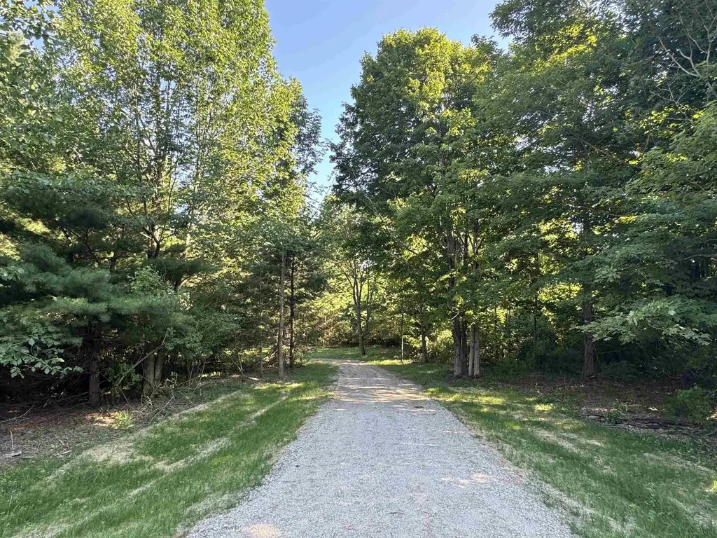 Lot #3 E Bellinger Road Kasson Township MI 49621