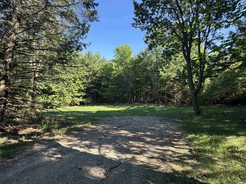 Lot #3 E Bellinger Road Kasson Township MI 49621