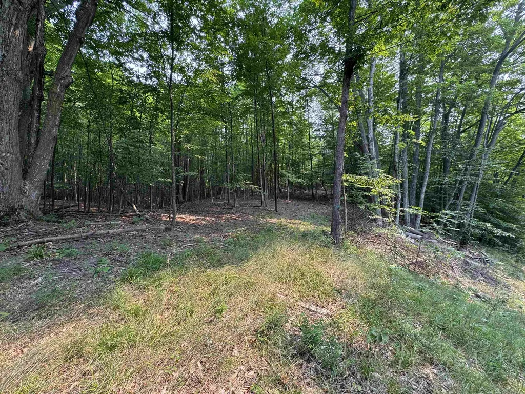 Lot #3 E Bellinger Road Kasson Township MI 49621