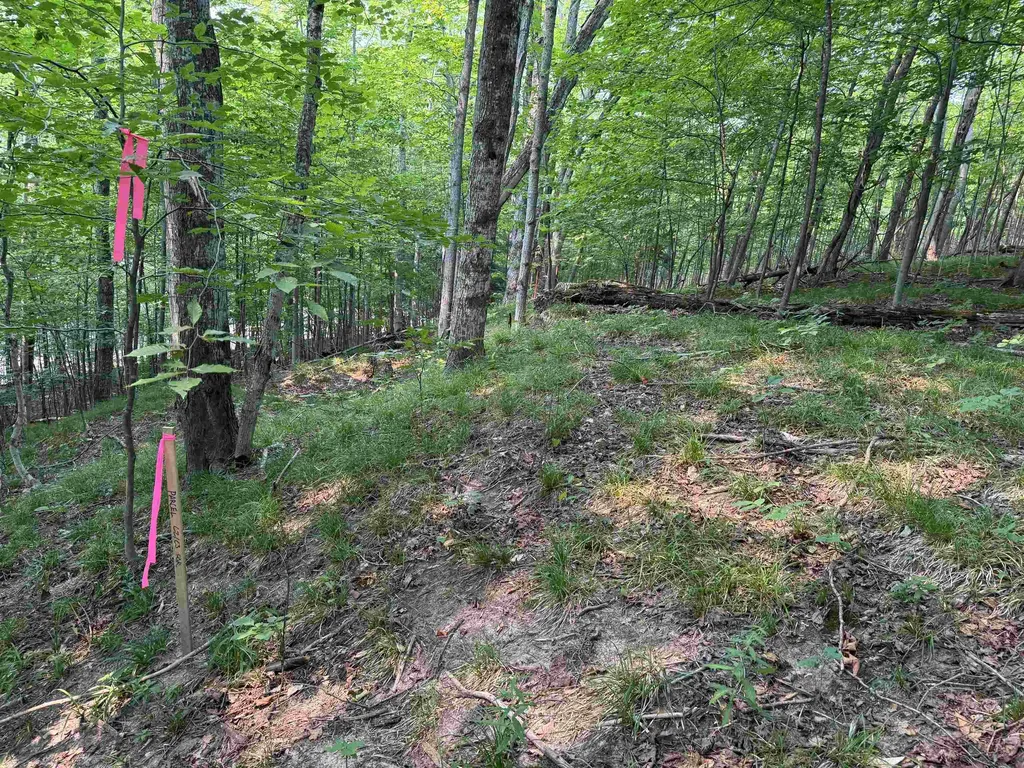 Lot #3 E Bellinger Road Kasson Township MI 49621