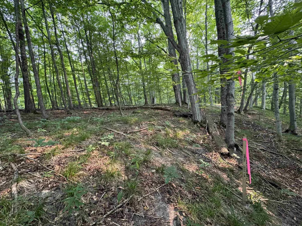 Lot #3 E Bellinger Road Kasson Township MI 49621
