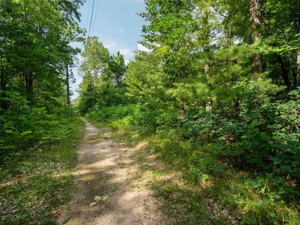 Lots 89 & 90 Beroun Avenue Grant Township MI 49643