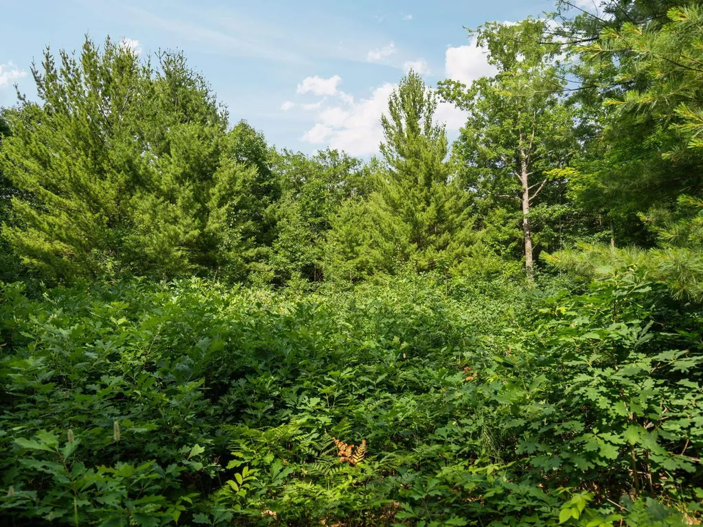Lots 89 & 90 Beroun Avenue Grant Township MI 49643
