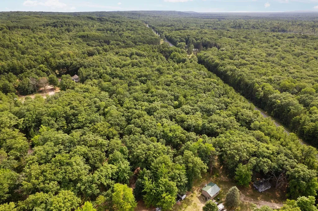 Lots 137 & 138 Tabor Avenue Grant Township MI 49643